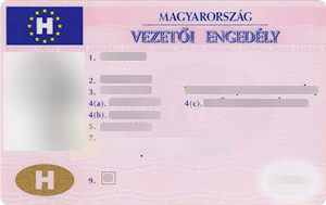 European-format driver’s license 
