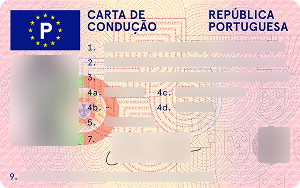 Driver’s license 