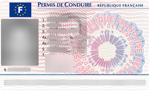 Driver’s license 