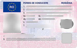 Driver's license