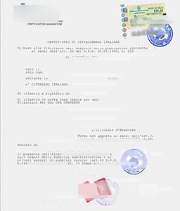 Сертификат о гражданстве 