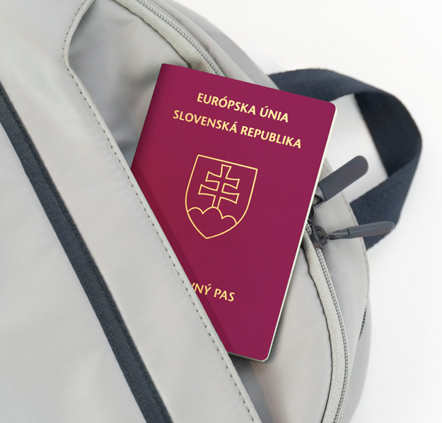 Паспорт Словакии для россиян — условия получения, требования, альтернативы